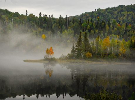 landscape-4547734_1280